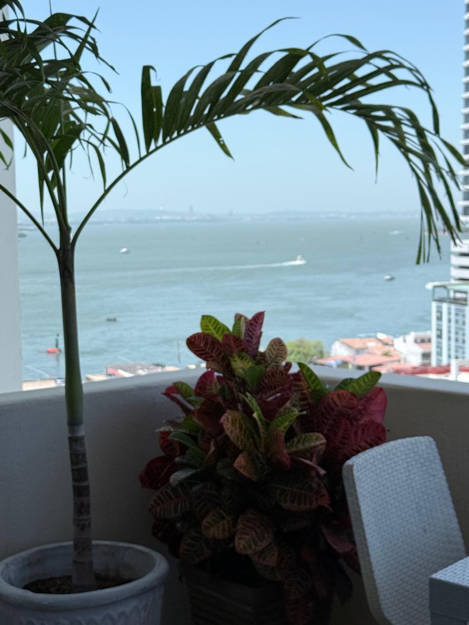 property_gallery_img_4777