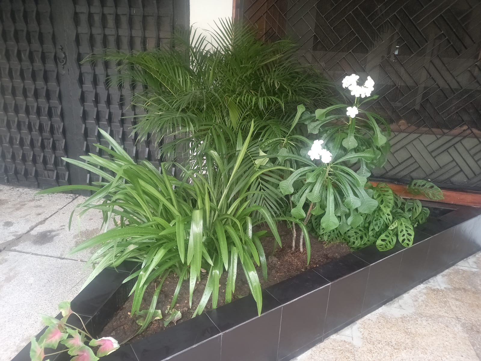 property_gallery_img_4680