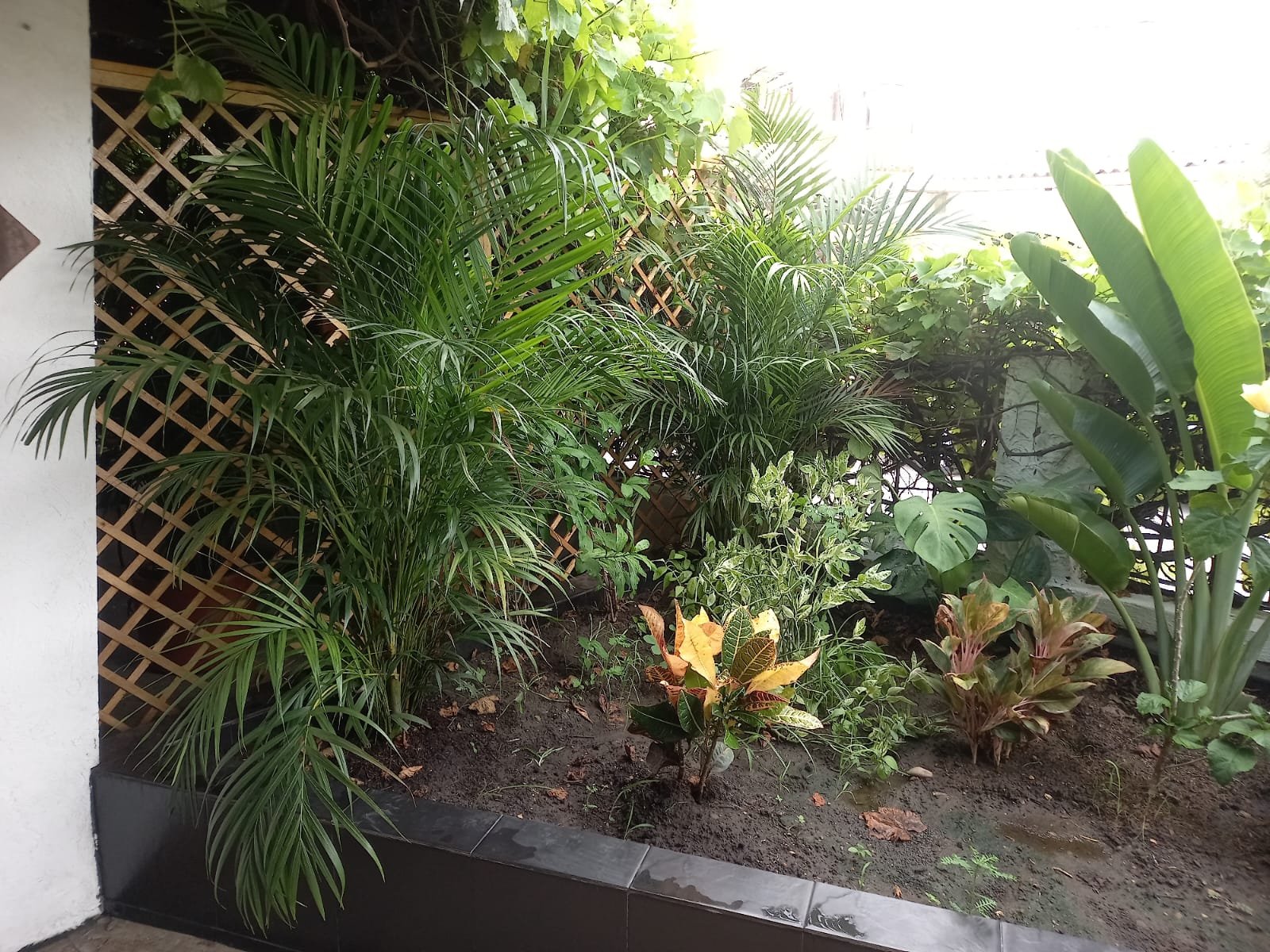 property_gallery_img_4670