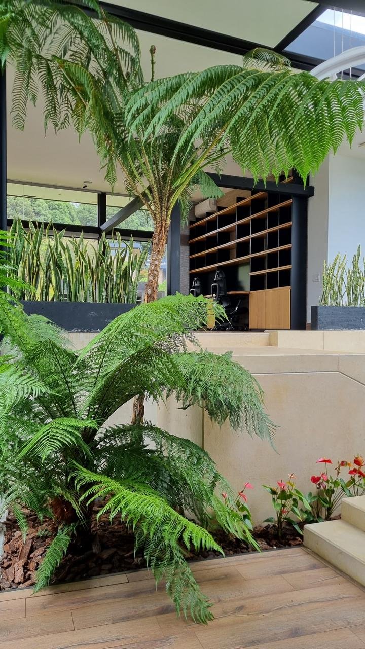 property_gallery_img_6081