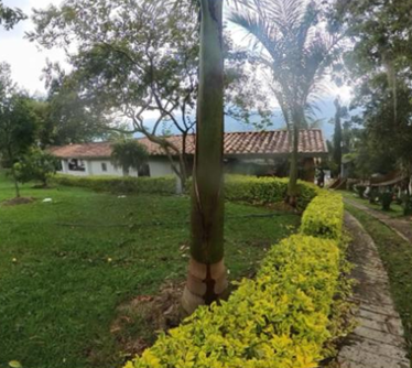 property_gallery_img_6980