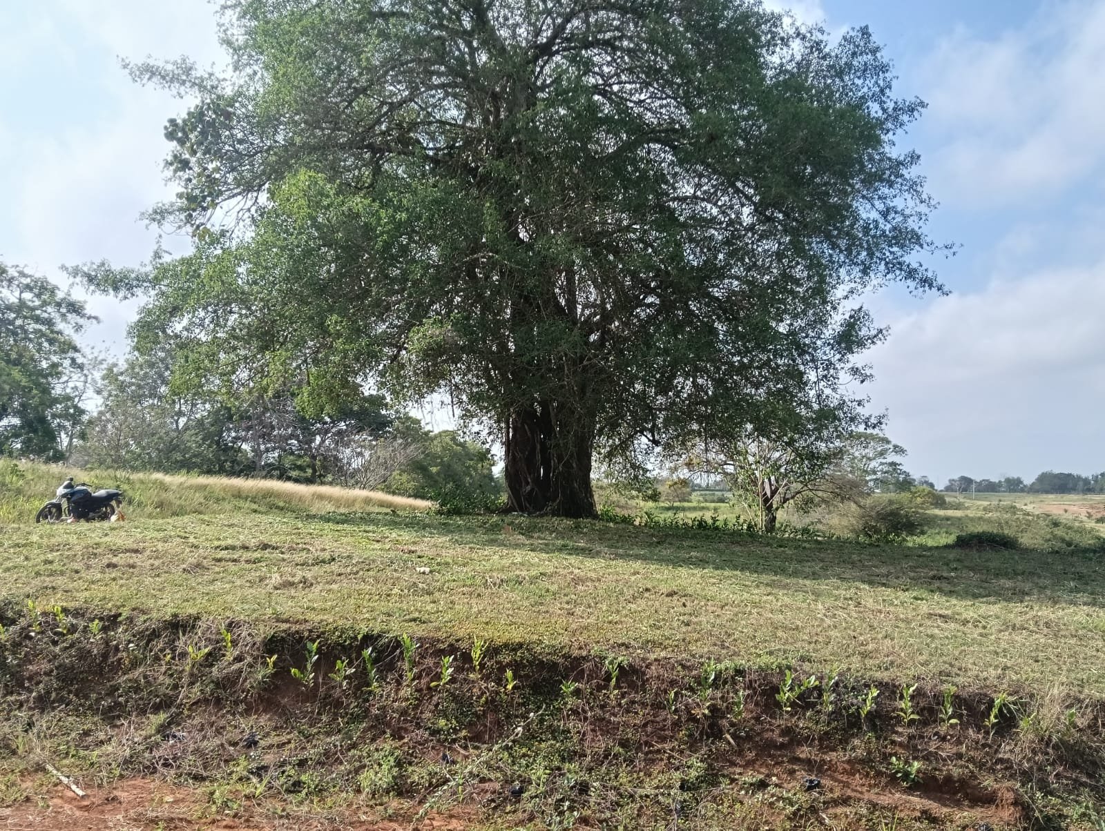 LOTE_EN_ARJONA_BOLIVAR_COLOMBIA