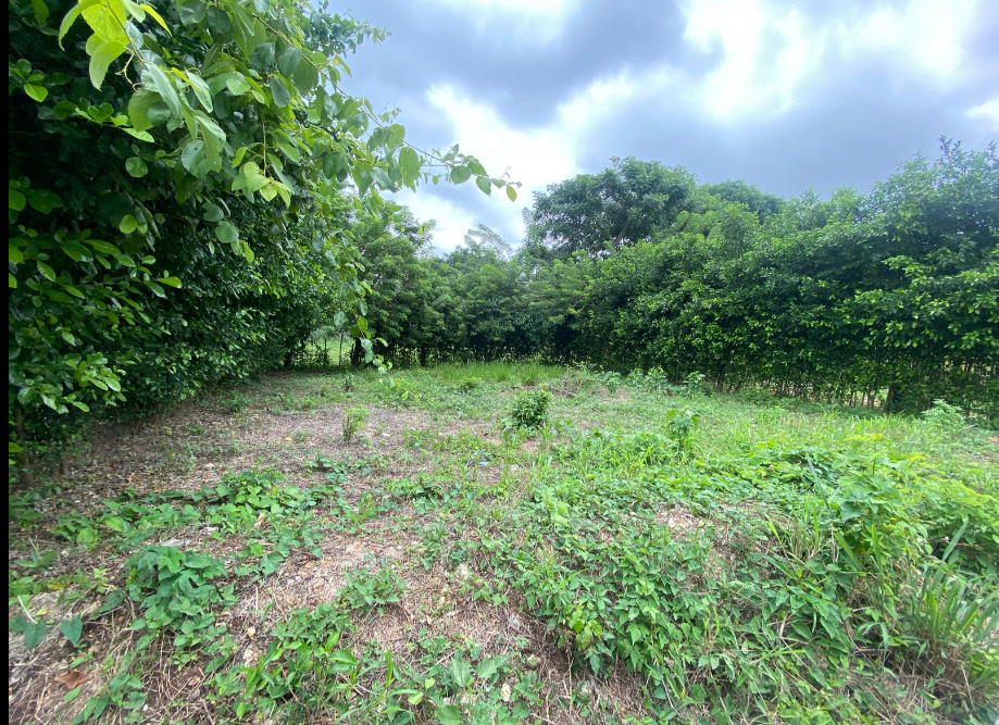 TERRENO_EN_TURBACO_BOLIVAR