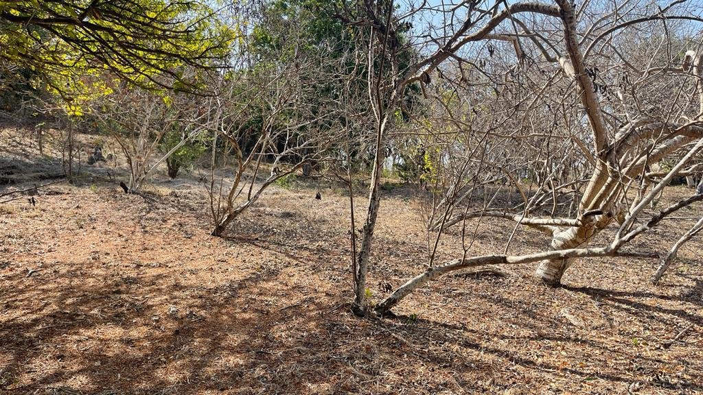 property_gallery_img_5894