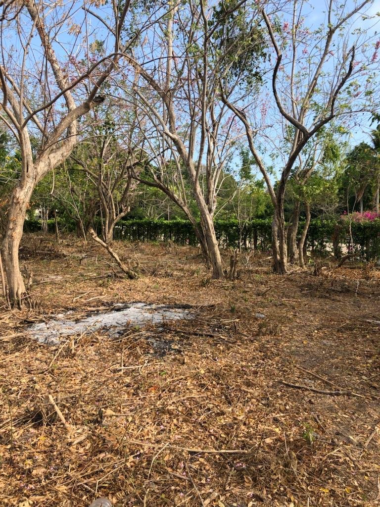 property_gallery_img_5895