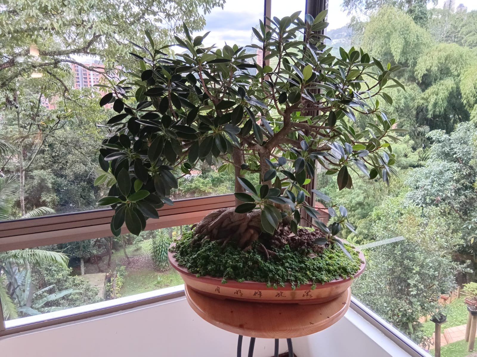 property_gallery_img_5966